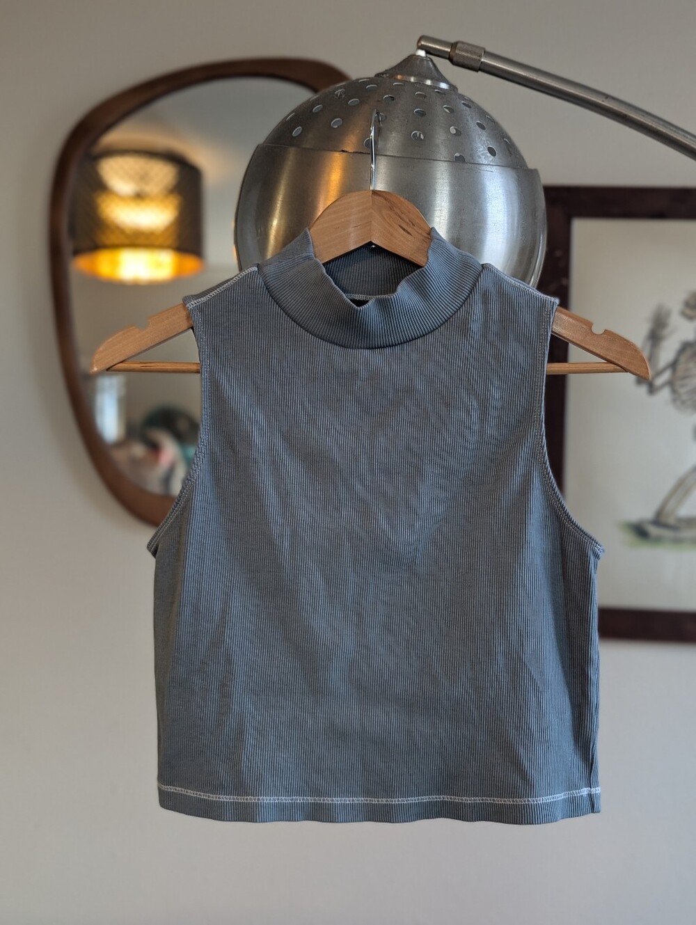Everlane The Ribbed Mock Neck Tank